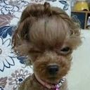 Tameka Hughley