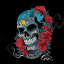 Shawn D