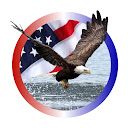 Bald Eagles Of Centerport