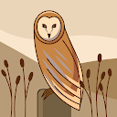 little bird
