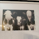 Cow Harbor Tattoo